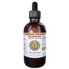 Soapwort (Saponaria officinalis) Liquid Extract 2 fl.oz