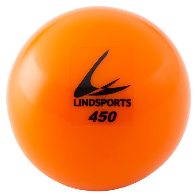 LINDSPORTS Sand Ball, 15.9 oz (450 g)