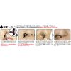 Magic Petite Nose (Nasal Petite) [Instruction Manual Included]