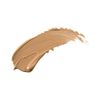 Perfection Multi-Use Concealer (COLOR - NATURAL FCPF01)