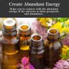 Abundance Intention Ritual Set | 100% Natural | Includes 10 oz Soy Candle, 4 oz Intention Oil & 8 oz Bath Salts | Prosperity, Success, Good Fortune Rituals | Wiccan, Pagan, Metaphysical, Spiritual