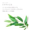 Access Ultra Thin Thick Mask, SILKY MASK, Pack of 7, Sheet Mask, Face Pack, Beauty Mask, Moisturizing, Skin Care