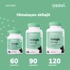 Osavi Shilajit, 500mg - 120 Vegan caps