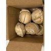 BIO413;  8 pcs; 3" PRESSED BALL