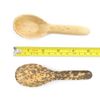 BambooMN 5.1" Premium Bamboo Leaf Chinese Soup Spoons, All Natural Disposable Compostable for Catering and Home Use, 100 Pieces