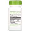 Nature's Way - Red Raspberry Leaves, 450 mg, 100 Capsules