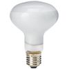 Komodo Basking Spot Lamp ES, 100 Watt, Packaging may vary