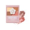 DAISY DOLL by MARY QUANT BR-02 Eye Color Palette, 0.2 oz (5.1 g)