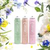 BRUMISATEUR Evian Facial Mist - Glow