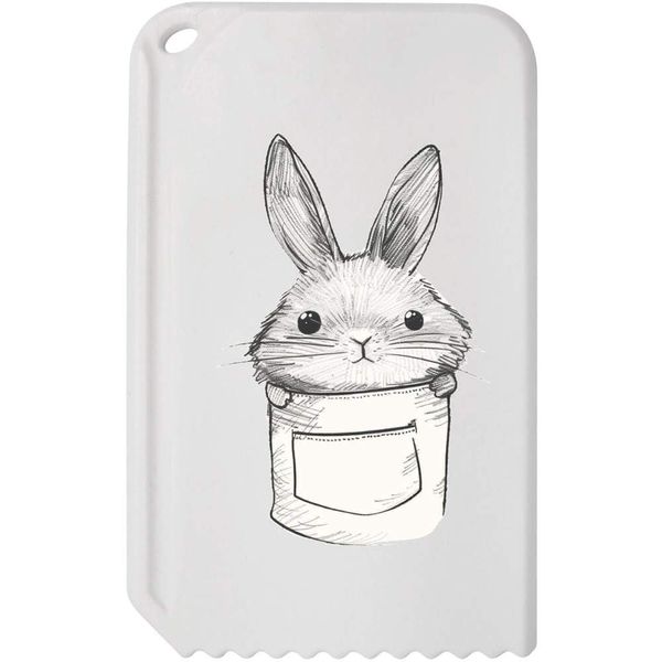 Azeeda 'Pocket Hair' Plastic Ice Scraper (IC00035829)