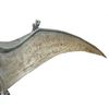 Tamiya 60204 1/35 Dinosaur Series No.4 Pteranodon Plastic Model