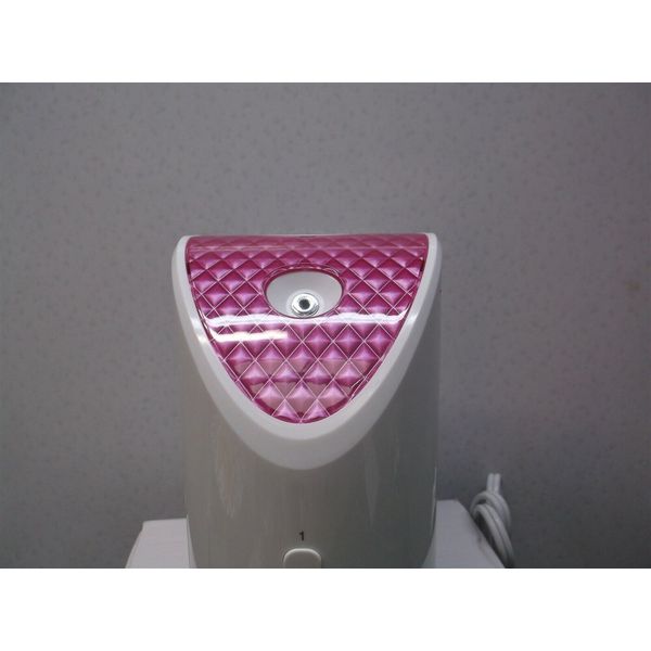 Bleies Facial Steamer for Face Professional