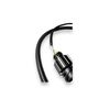 Crankshaft Speed Sensor for Volvo D12 Engine 20508011-20374282