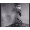 Blue Roses From the Moons