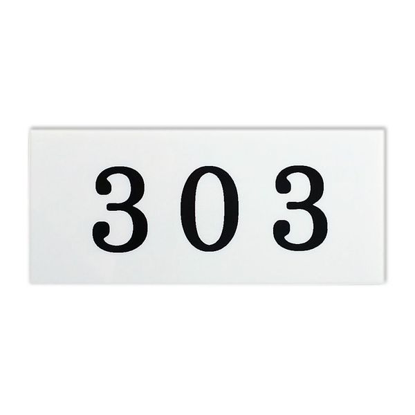 kyouritusaintekku License Plate 9b – 303 White