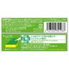 Scotch Brite Hybrid Attachment Sponge (Green)