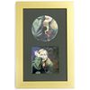 Standard Cd and Insert (Booklet) Display Walnut Frame Black Matting