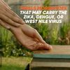 OFF! Deep Woods Mosquito and Insect Repellent Wipes, Long lasting, 12 Individually Wrapped Wipes