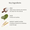 john masters organics Z&S Conditioning Shampoo N (Gin & Sage) 16.7 fl oz (473 ml) 16.7 fl oz (473 ml) (x1)