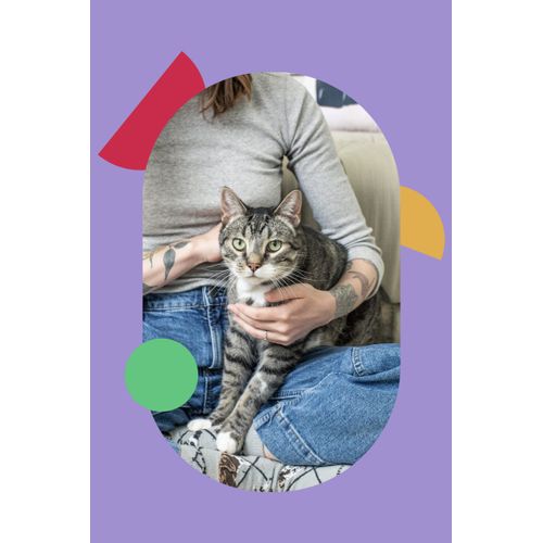 I and love and you Meow & Zen Hearties Cat Treats - Chicken- Grain Free, Omega 3 & 6, Prebiotics, Filler Free, 4oz Bag