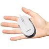 Macally UCDYNAMOUSE-W, 3-button optical USB-C silent click mouse, white/space gray