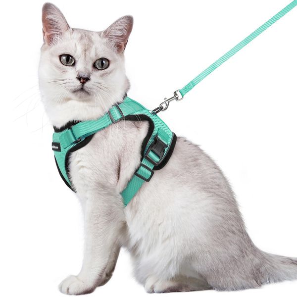 rabbitgoo Katzengeschirr mit Leine Softgeschirr für Katze Brustgeschirr Cat Harness Katzengarnitur ausbruchsicher verstellbar Katzenweste Grün M