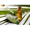 Neem Oil (Azadiracta Indica) 100ml