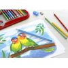 Faber-Castell 201597 Triangular Colour Pencil, Yellow,Blue,Green,Red, 24 Piece Set