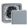 Legrand Plexo – Switch Switch Recessed (Modern) Grey