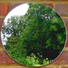 Super Cool Creations Circle Garden Mirror - 20cm