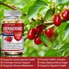 Blood Sugar Support Supplement 800mg Berberine Cinnamon Extract Maximum Strength