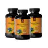 vision essentials - MAX EYE VISION SUPPORT - bilberry herb 3B