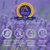 Absolute Aromas Spa Collection Balance Face Oil 15ml