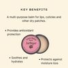 jurlique rose love balm