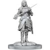 D&D Nolzur's Marvelous Miniatures: Half-Elf Rogue Female