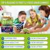 Kids Multivitamin Essentials Gummies Natural - Immune Support - Brain Booster 60