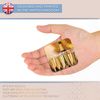 Fridge Magnet - Champagne Flute Glasses Celebration 16077