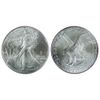 2025 (P) $1 American Silver Eagle Eagle Privy 1 oz Impaired