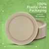 Ibambo Bamboo Disposable Paper Plates - 10 Inch, 125 Pack, Compostable Plates