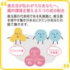【第3類医薬品】ビオフェルミンVC 360錠