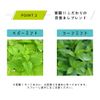 GORIGORI Mint Cool Ice Refill, 8.5 fl oz (250 ml) / Gorigo Limint