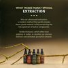 Red Maca Extract 50ml | Hormonal Balance & Vitality | Andean Super Root