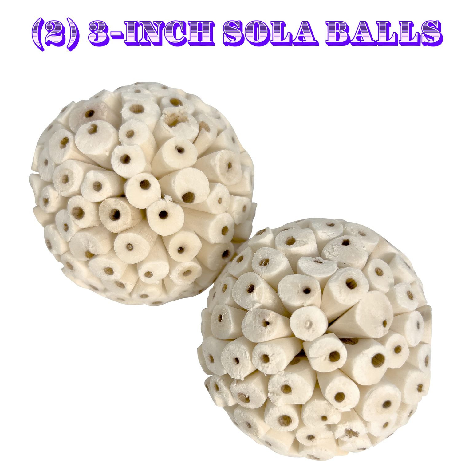 Mandarin Bird Toys 5156 Chunky Sola Platter by M&M - Natural Air Dried Sola Plant Toys, Balls, Sticks, Sola Oyster Slicers, Wonderful Chewing for Beaks, Excellent for Medium Size Pets Lightweight