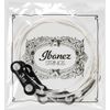 Ibanez ICLS6NT Nylon String for String Guitar, Normal Tension