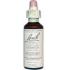 Cerato 20ml from Bach Flower Remedies
