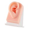 1 Pair Soft Silicone Ear Model Ear Piercing Practice Ear Studs Earring Jewelry Display