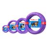 Dog's Growth And Training for Playground "Puller" , Blue