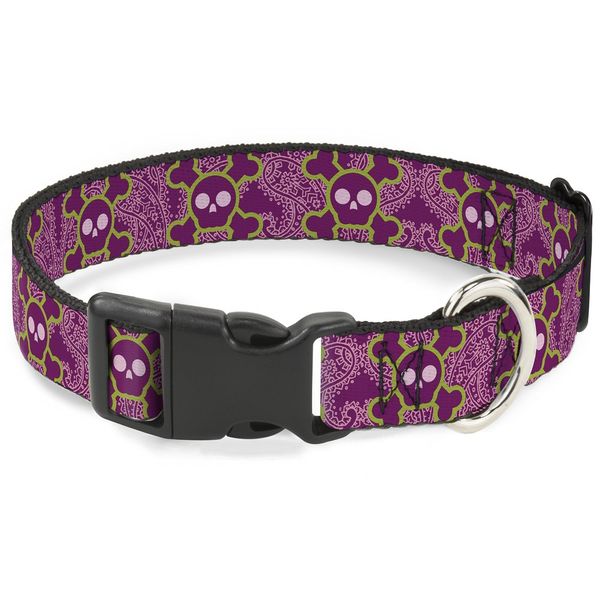 Buckle-Down Cute Skulls with Paisley Purple/Pink/Green Plastic Clip Collar, 1.5" Wide-Fits 18-32" Neck-Large