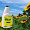 ODOREZE Natural All Purpose Deodorizer & Cleaner: 32 oz. Makes 128 Gallons