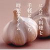 貝印 KAI にんにく絞り Kai House Select DH7131